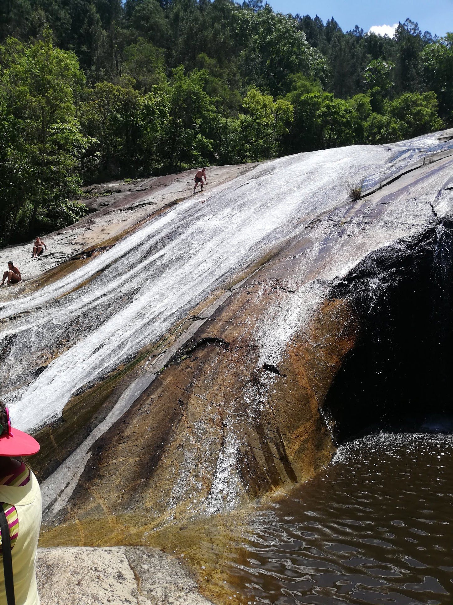  Woodbush Forest Reserve