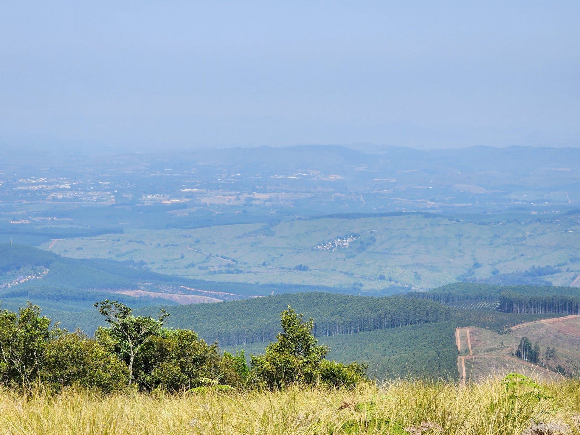  Woodbush Forest Reserve