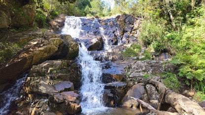  Woodbush Forest Reserve