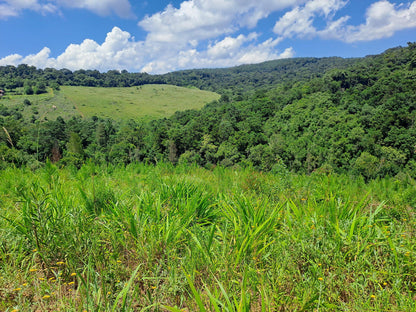  Woodbush Forest Reserve