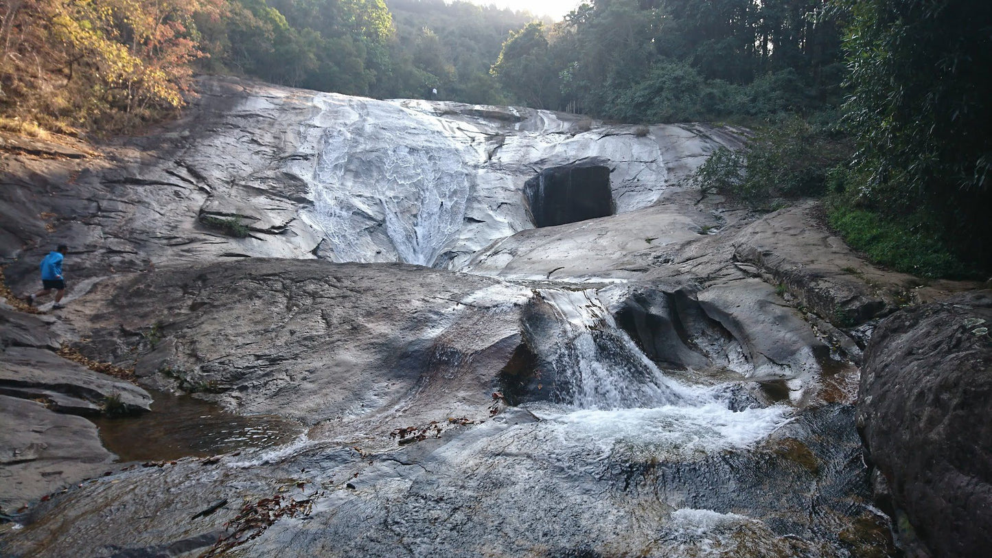  Woodbush Forest Reserve