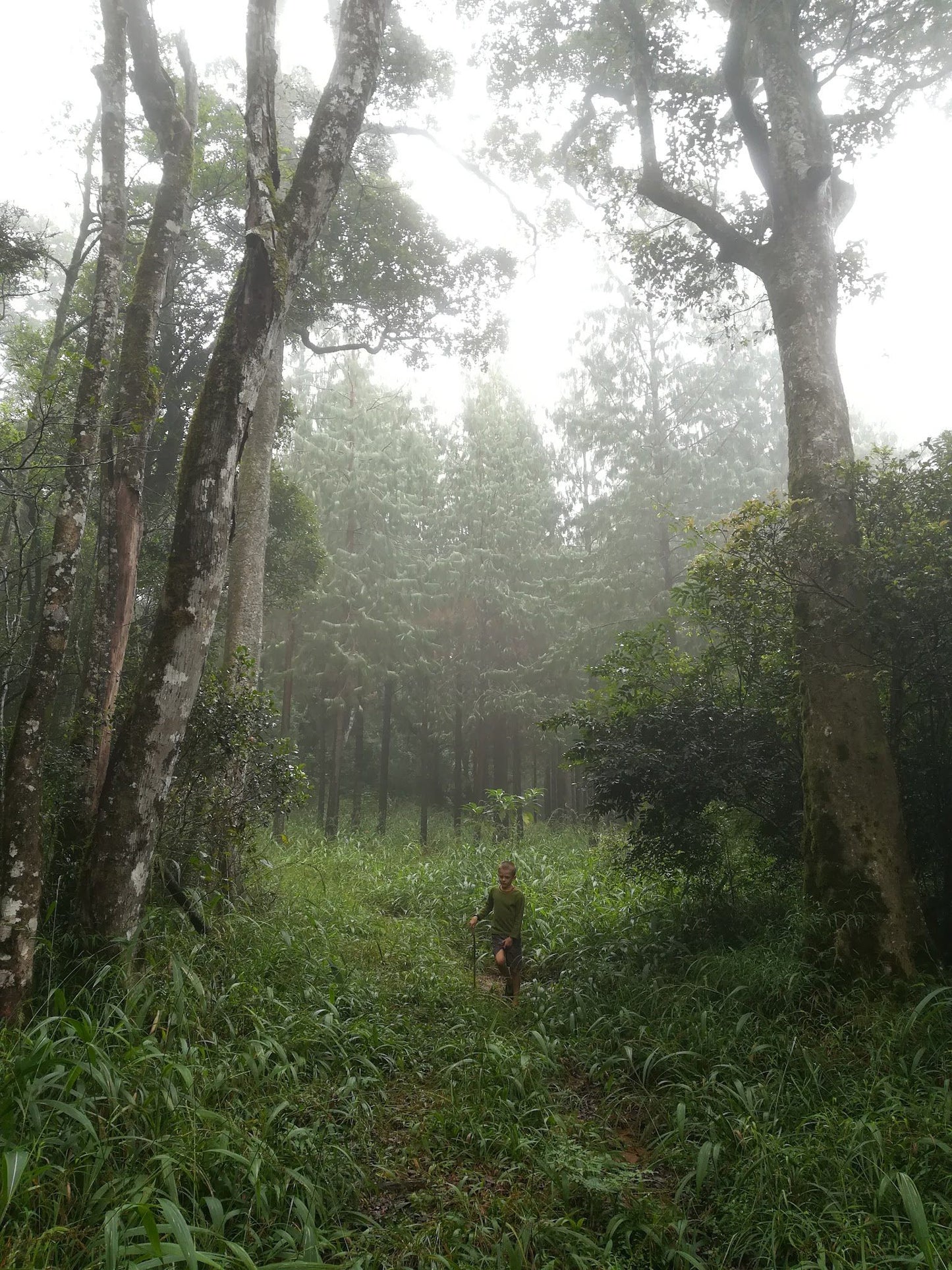  Woodbush Hut