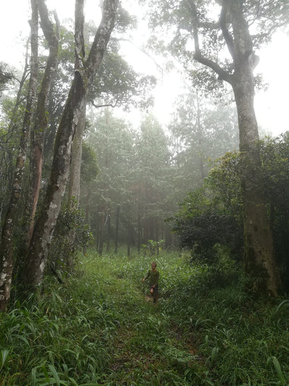  Woodbush Hut