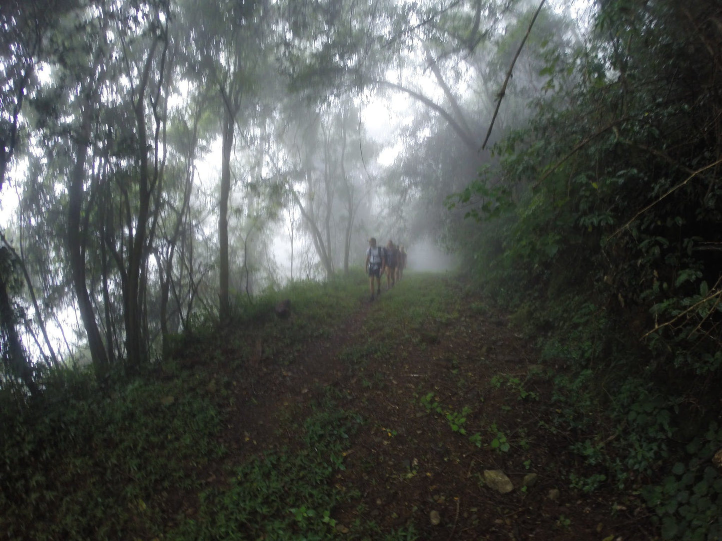  Woodbush Hut