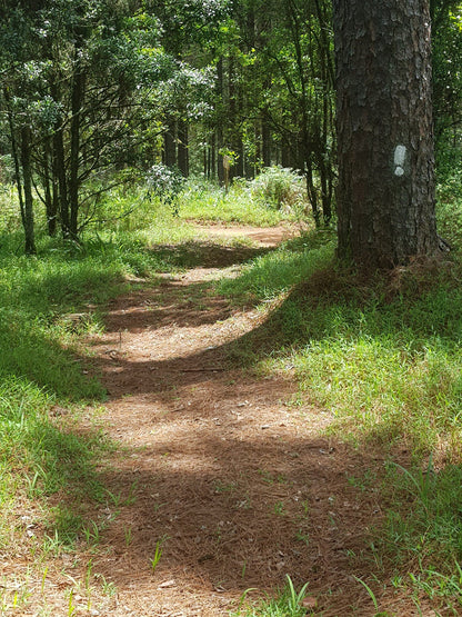  Woodbush Hut