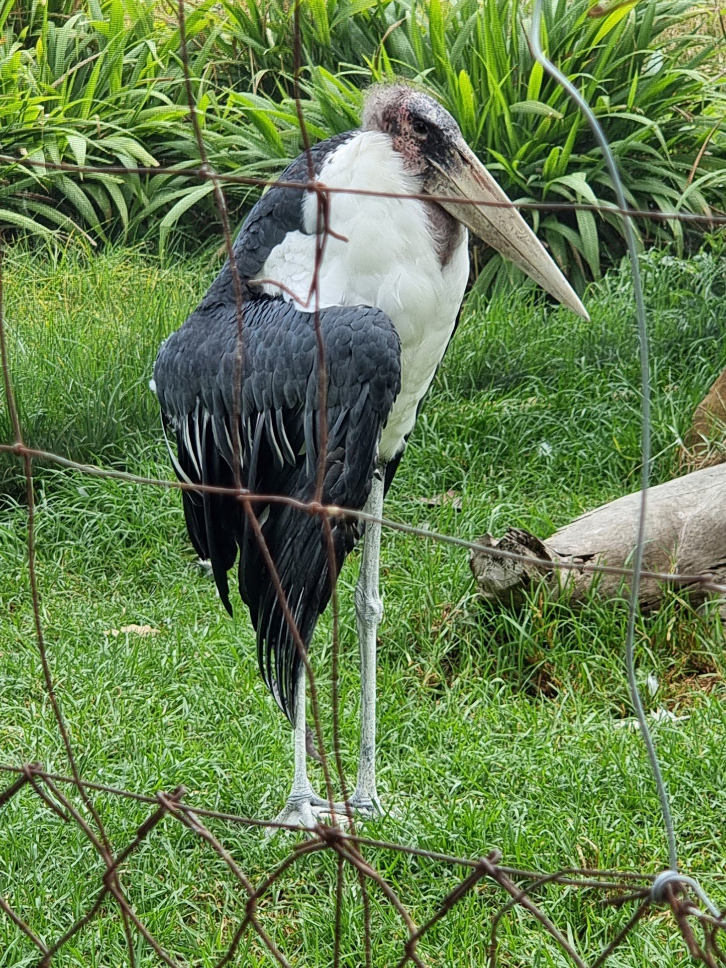  World of Birds Wildlife Sanctuary & Monkey Park