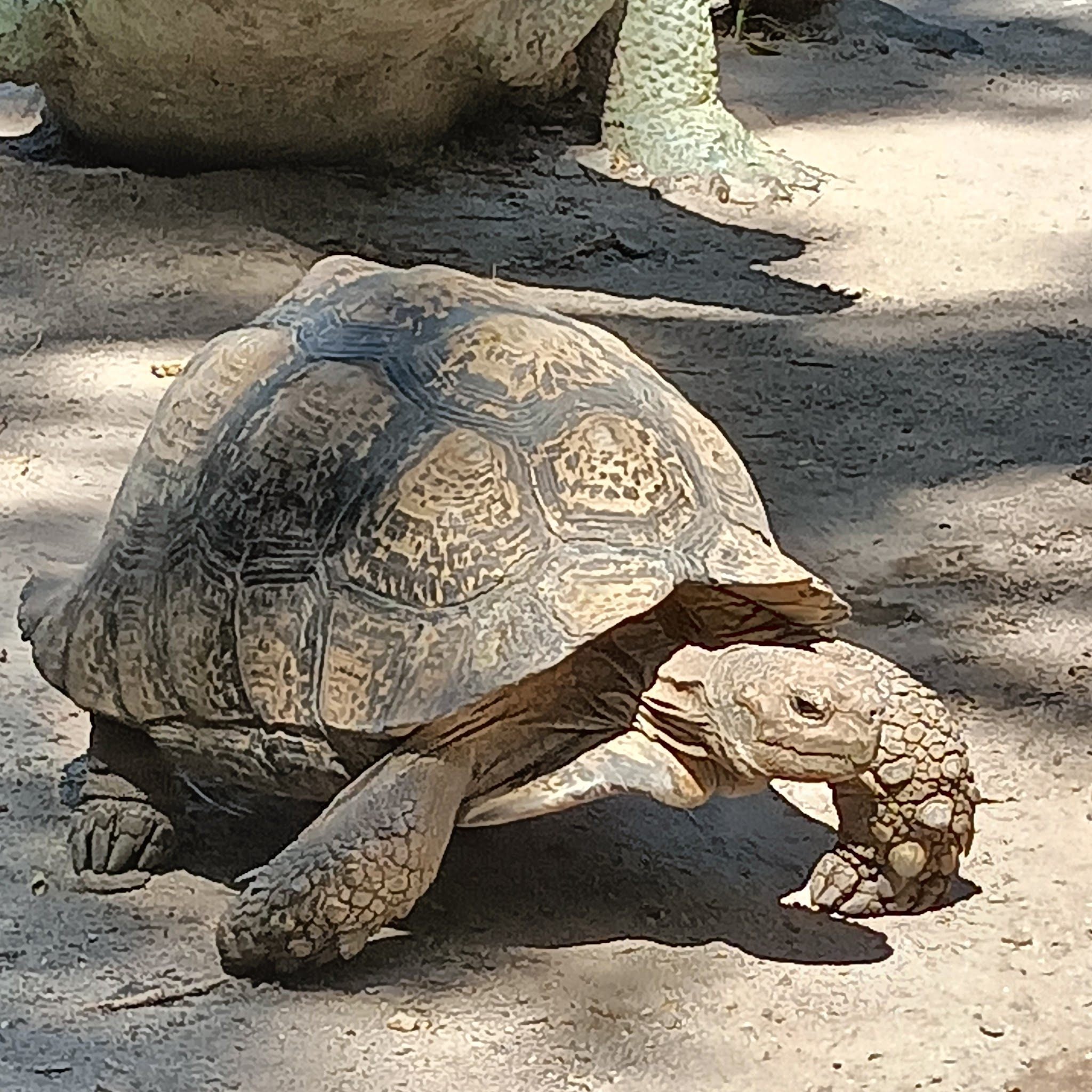  World of Birds Wildlife Sanctuary & Monkey Park