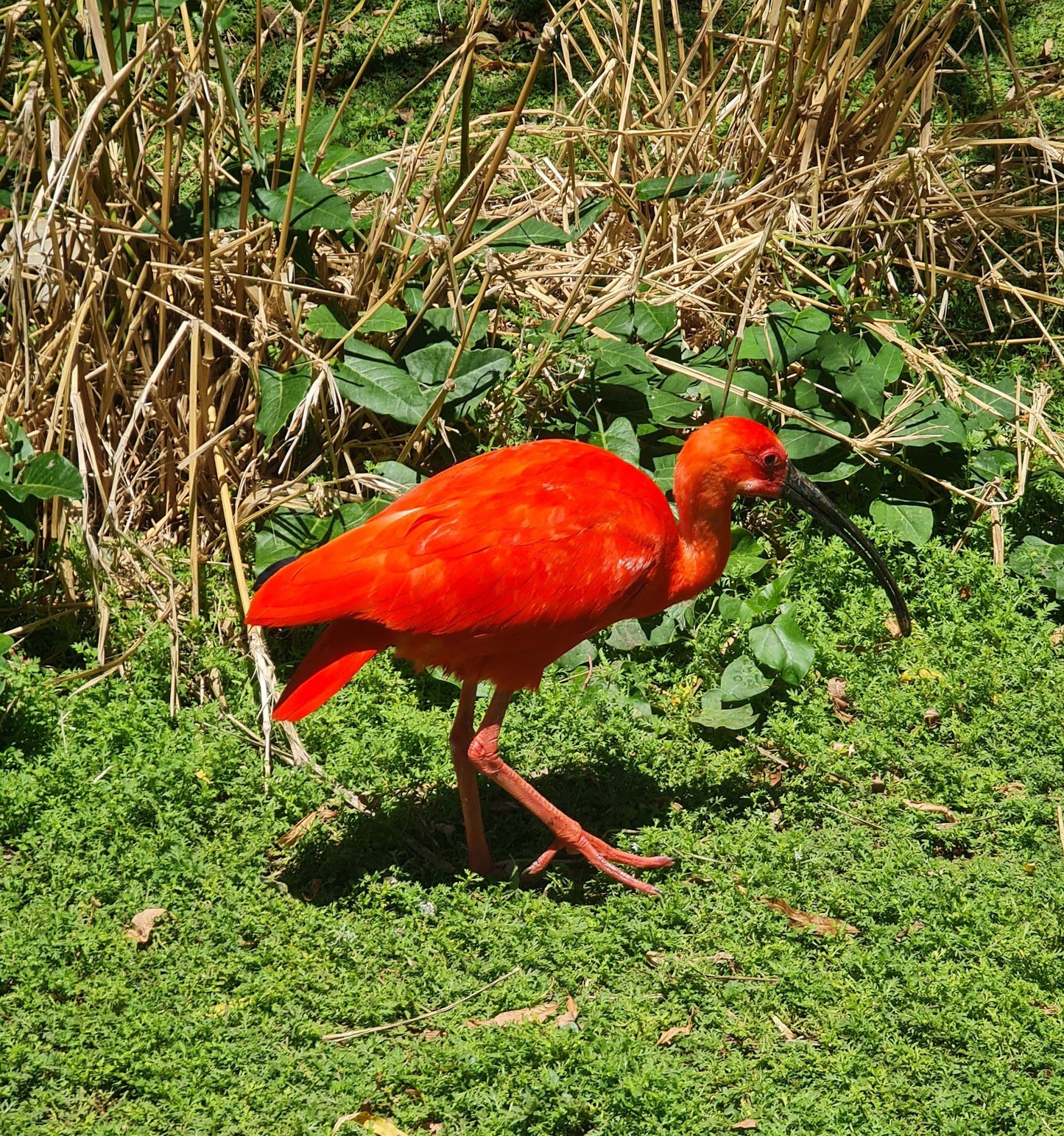  World of Birds Wildlife Sanctuary & Monkey Park