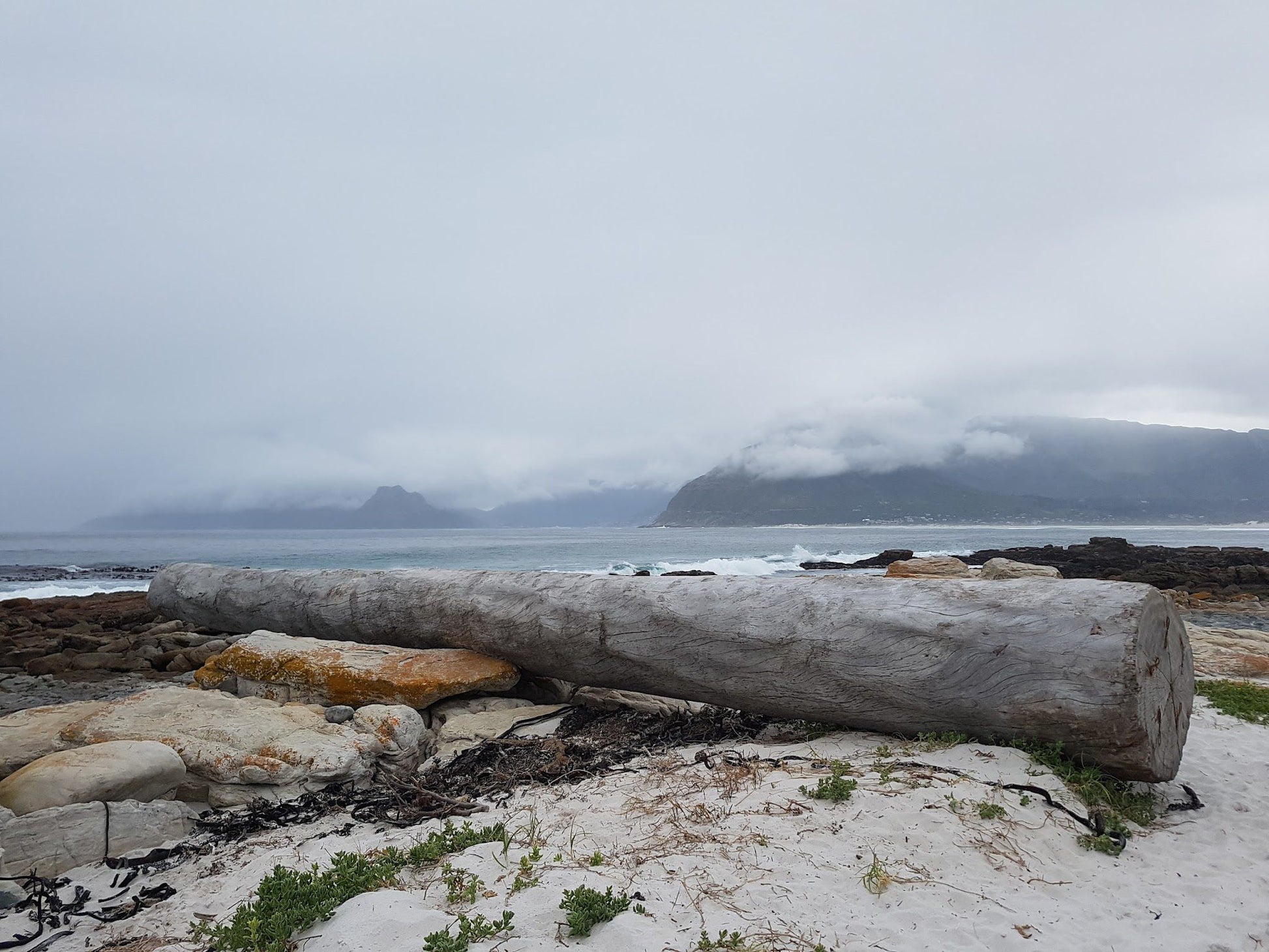  Wreck Of The Kakapo (1900)