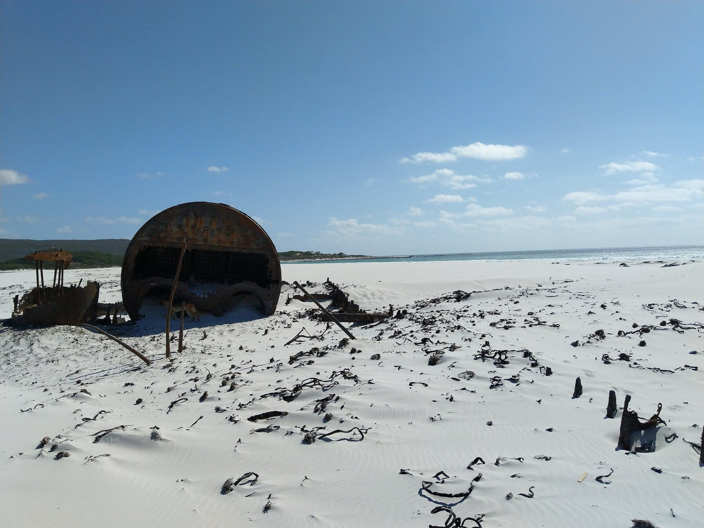  Wreck Of The Kakapo (1900)