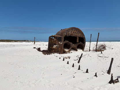  Wreck Of The Kakapo (1900)