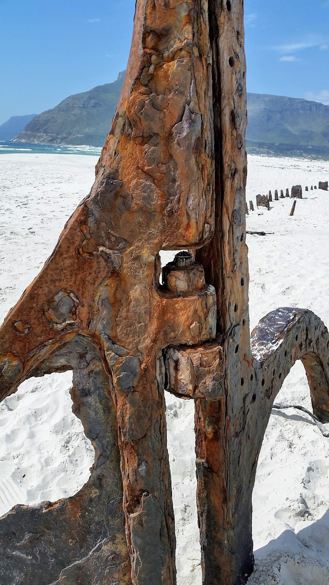  Wreck Of The Kakapo (1900)