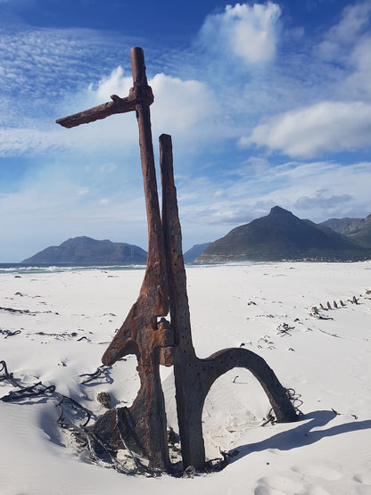  Wreck Of The Kakapo (1900)