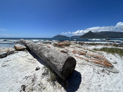  Wreck Of The Kakapo (1900)