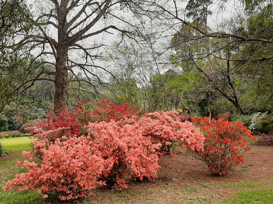  Wylie Park