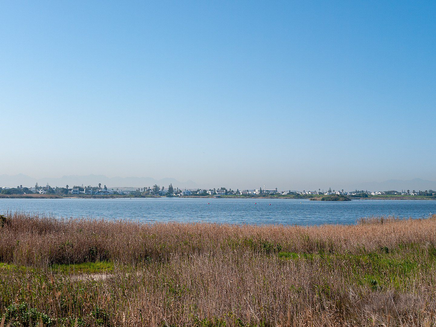  Zandvlei Estuary Nature Reserve