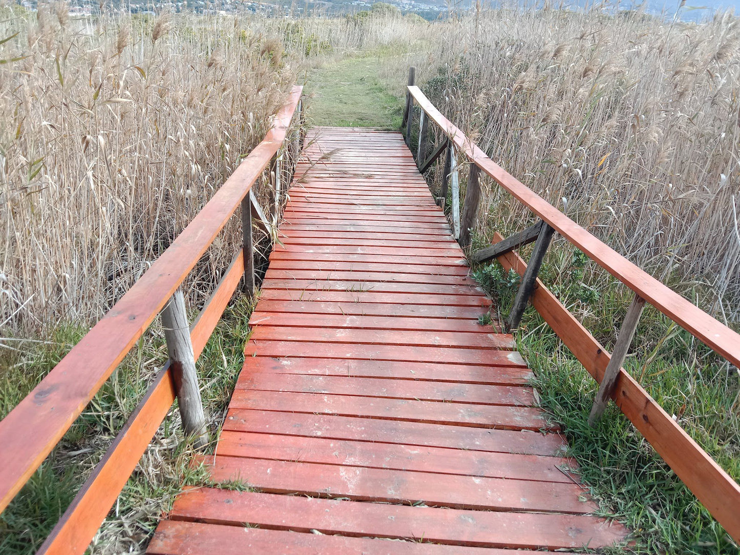  Zandvlei Estuary Nature Reserve