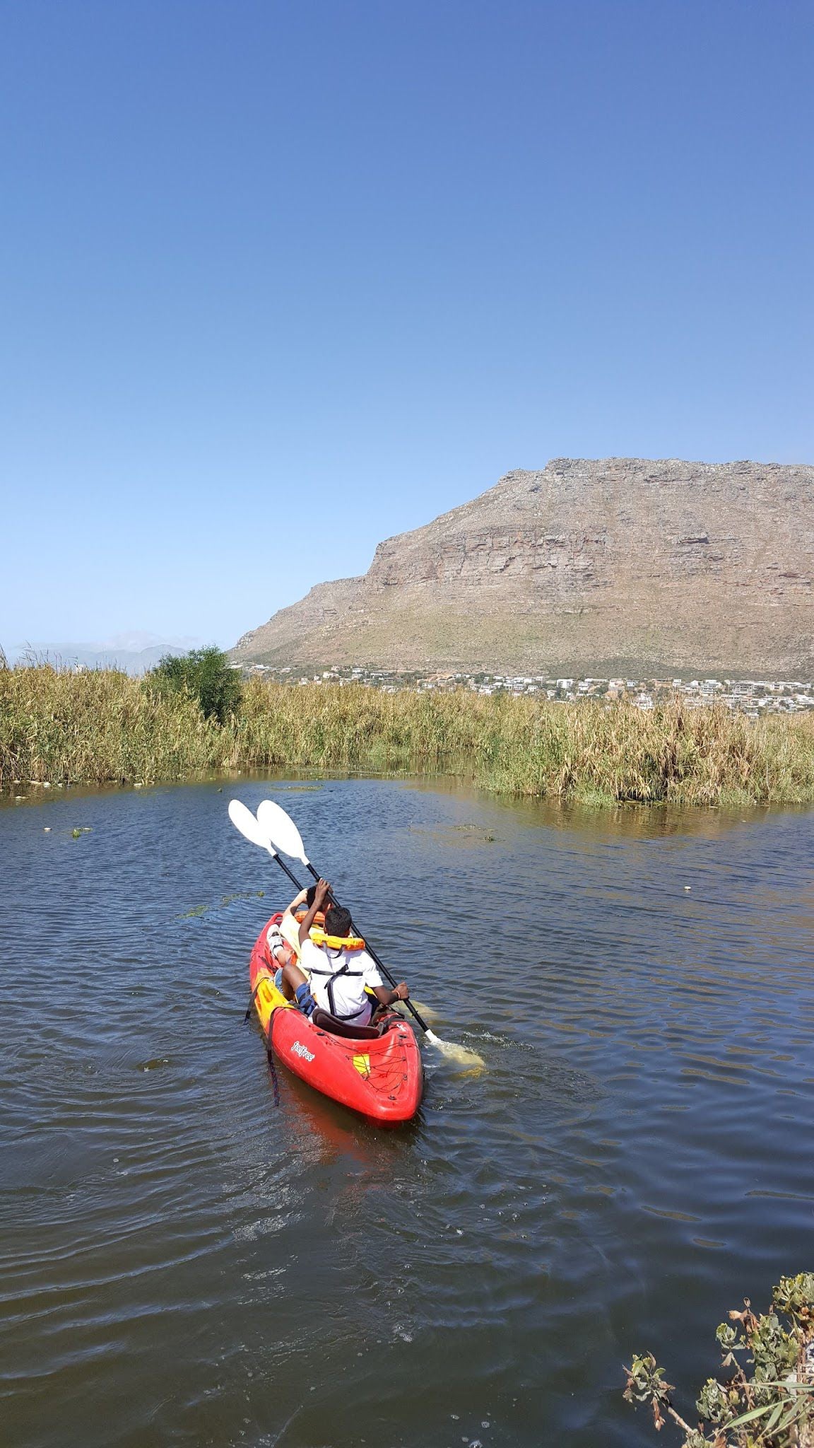  Zandvlei Estuary Nature Reserve