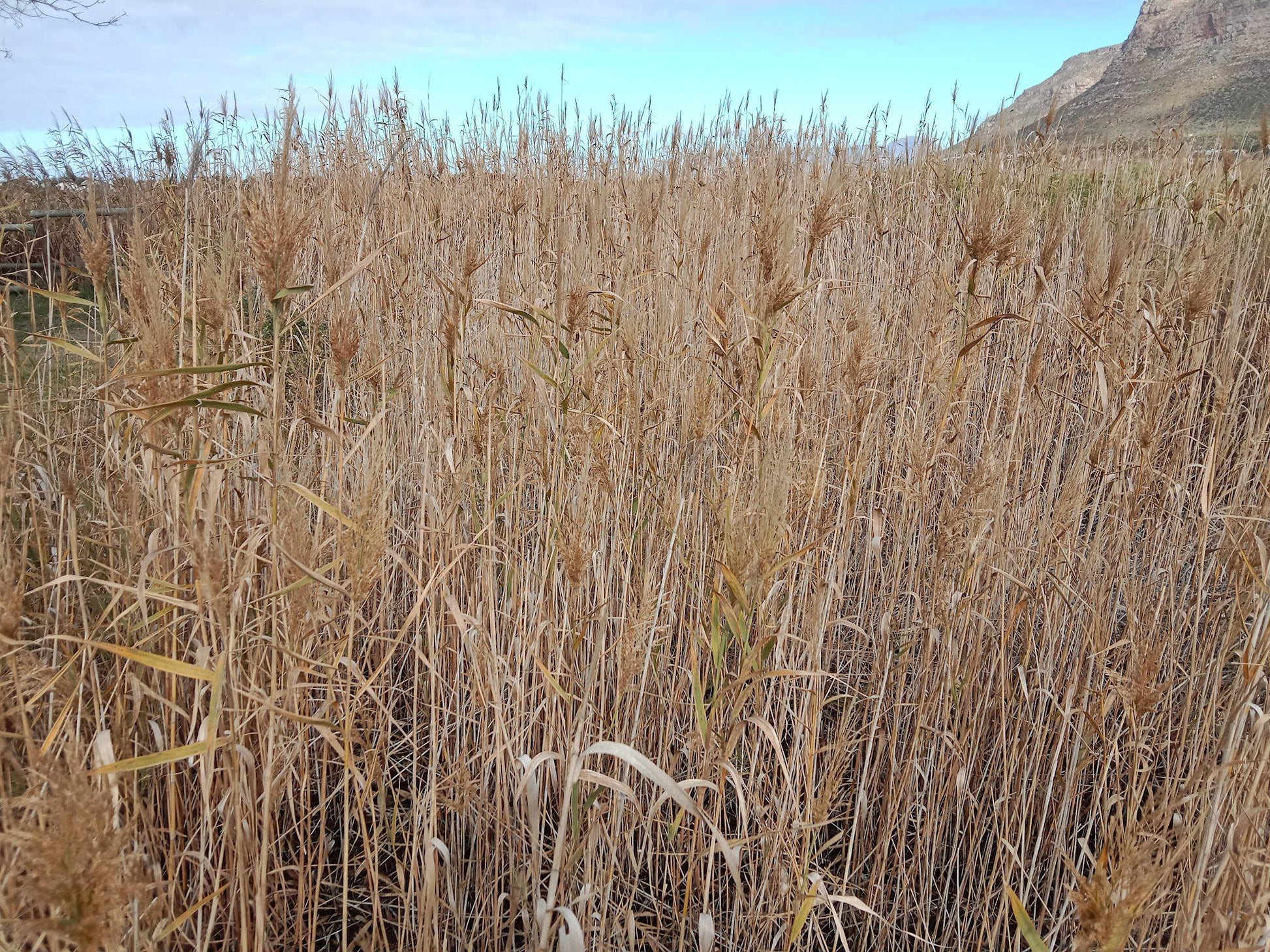  Zandvlei Estuary Nature Reserve