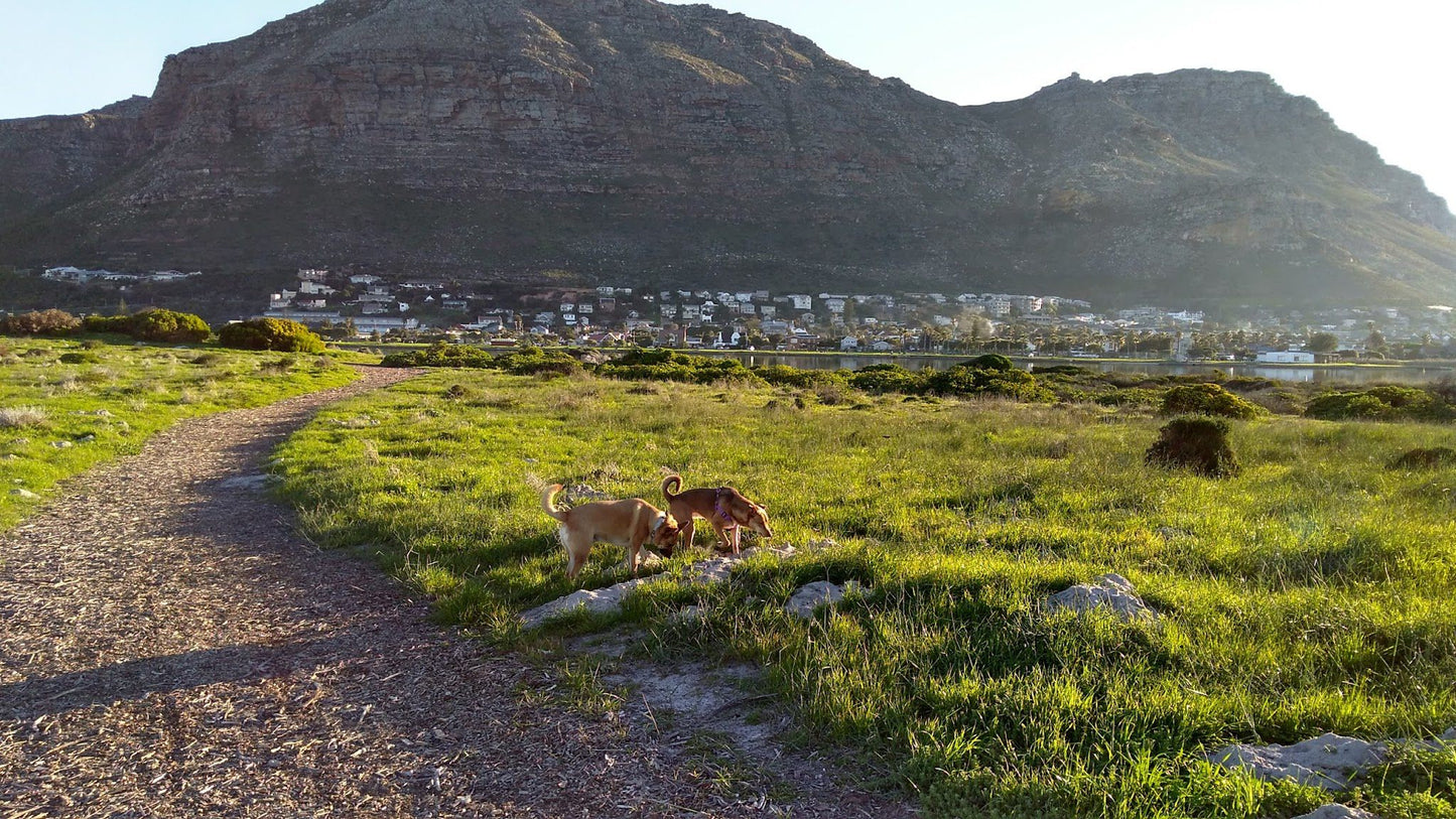  Zandvlei Estuary Nature Reserve