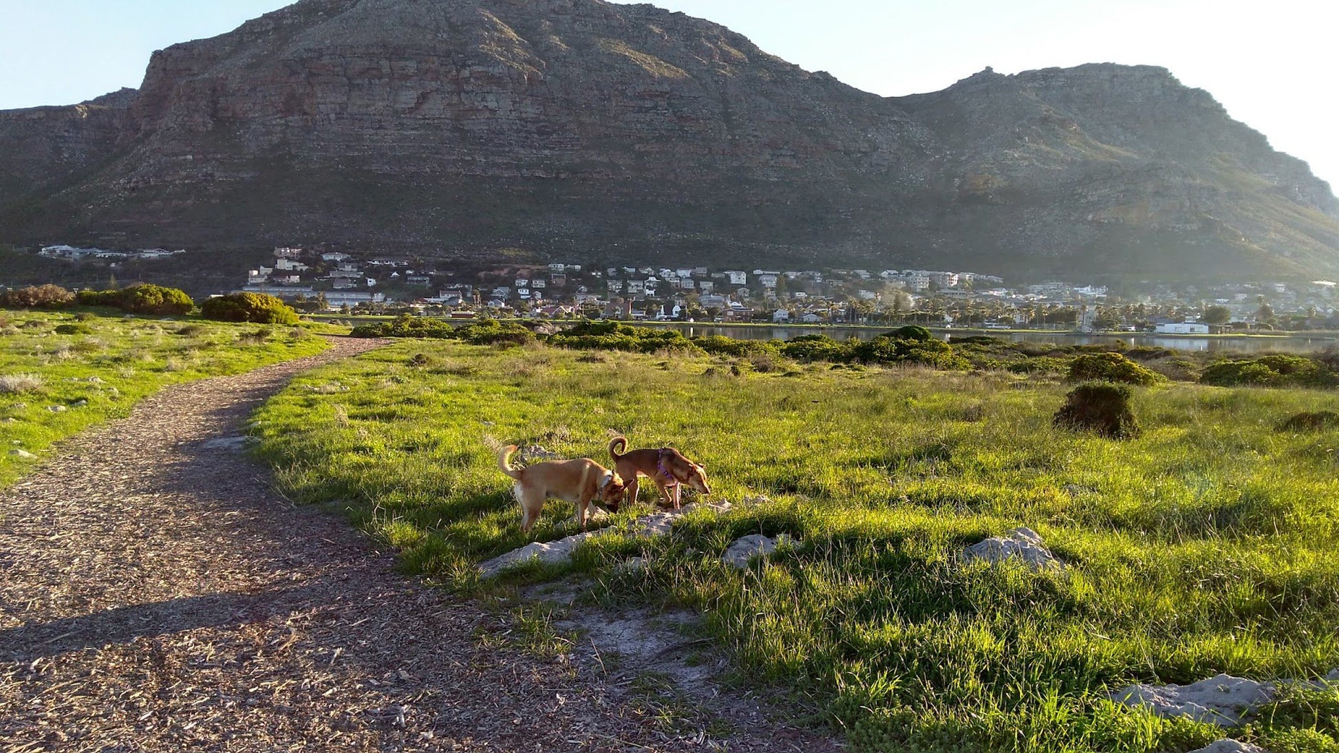  Zandvlei Estuary Nature Reserve