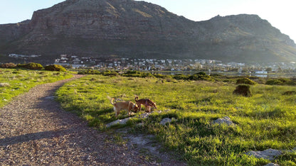  Zandvlei Estuary Nature Reserve