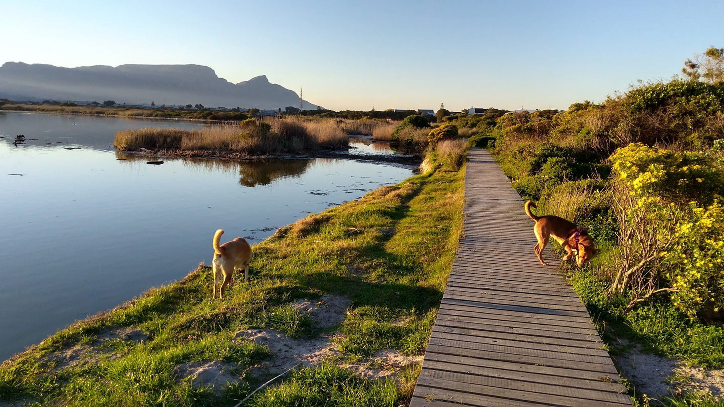  Zandvlei Estuary Nature Reserve