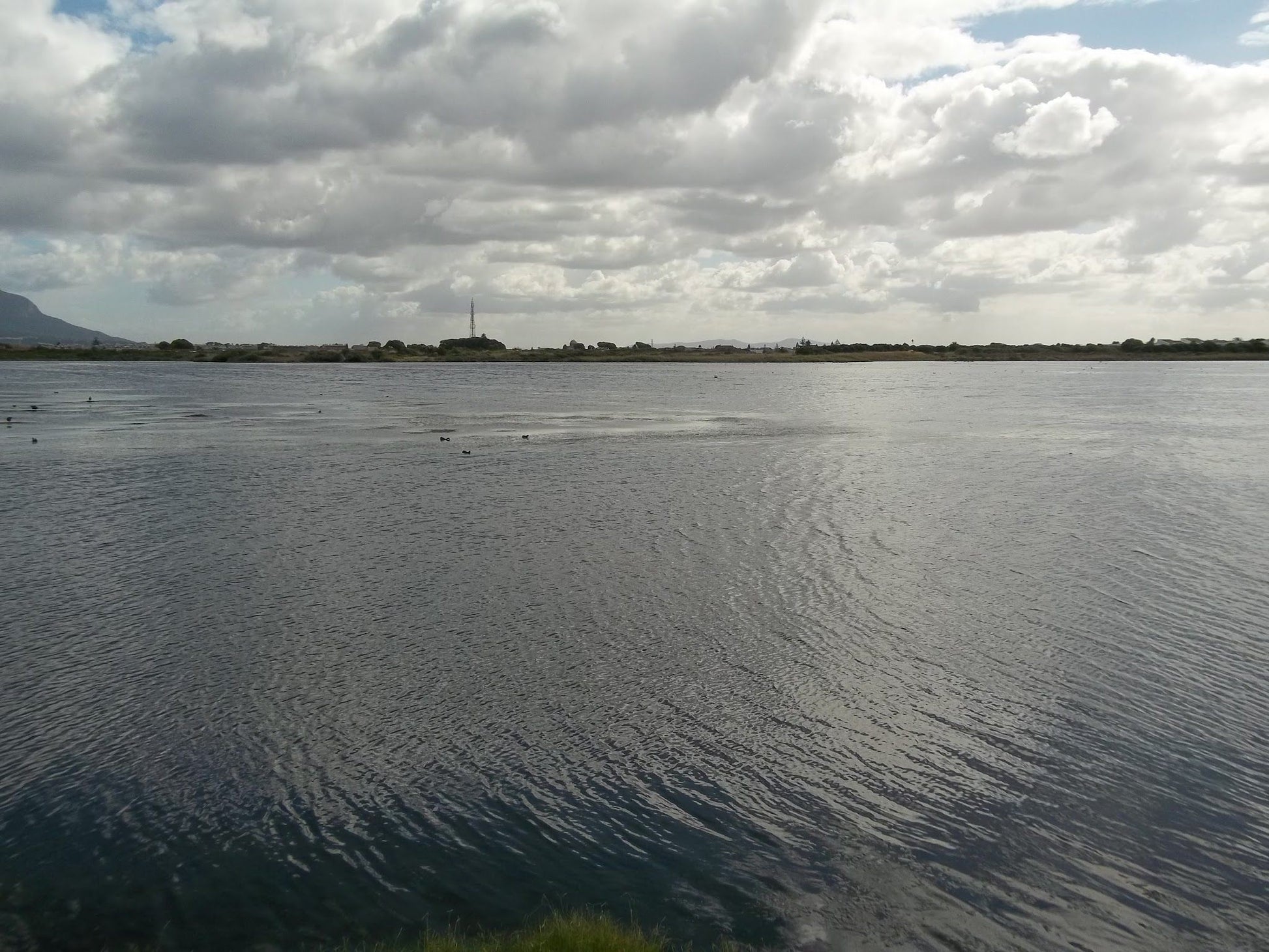  Zandvlei Estuary Nature Reserve