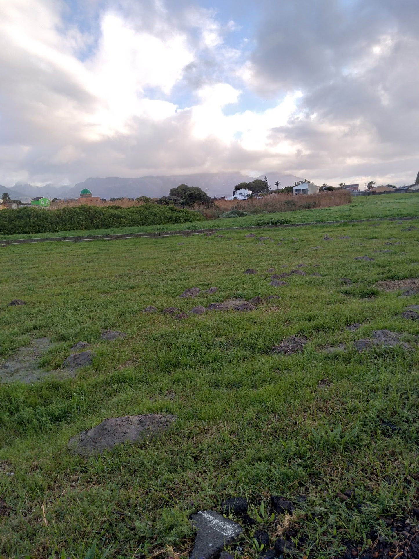  Zandvlei Estuary Nature Reserve