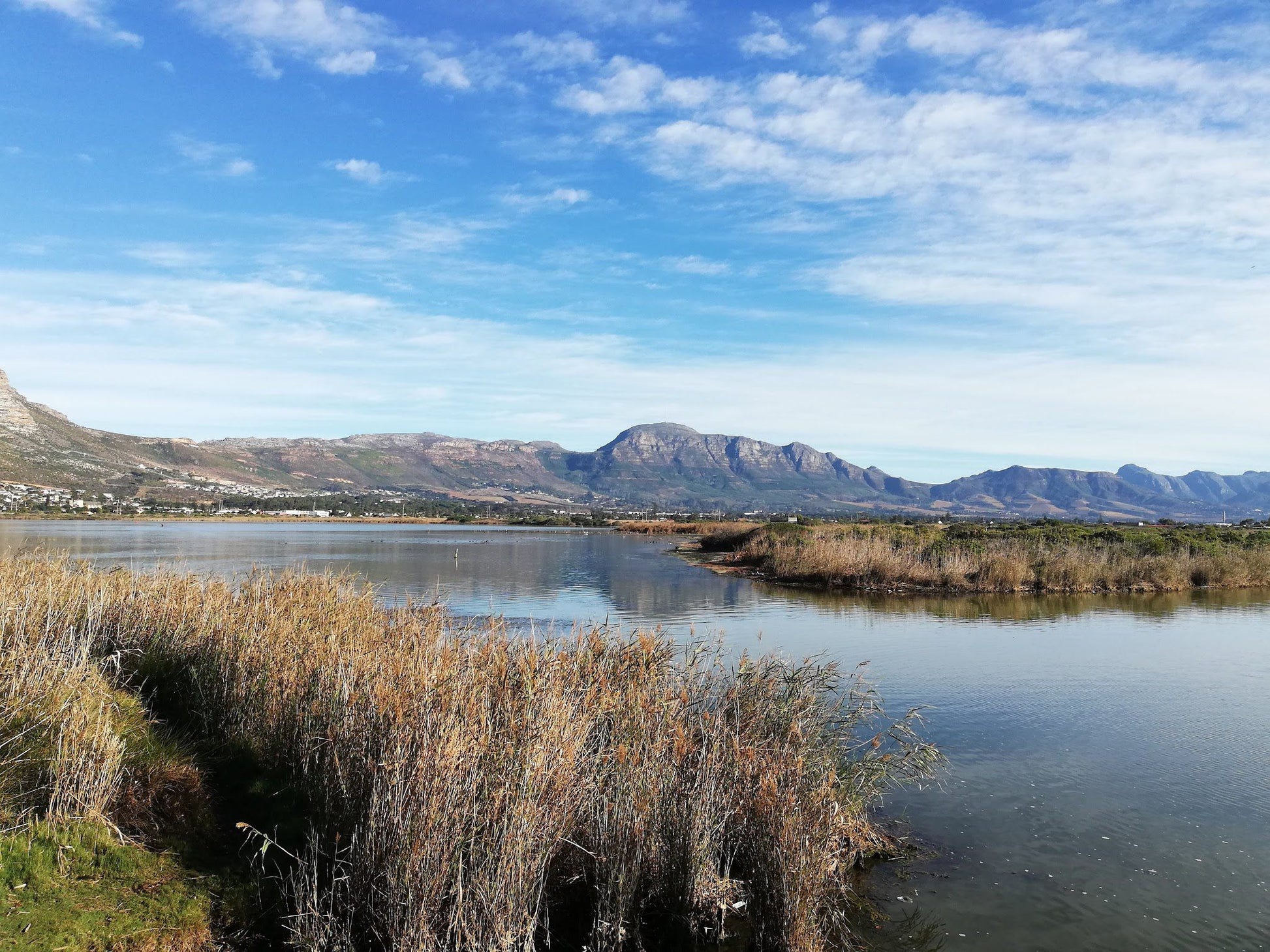  Zandvlei Estuary Nature Reserve