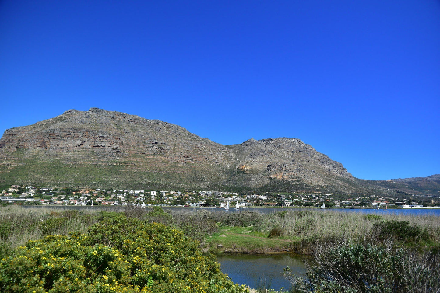  Zandvlei Estuary Nature Reserve