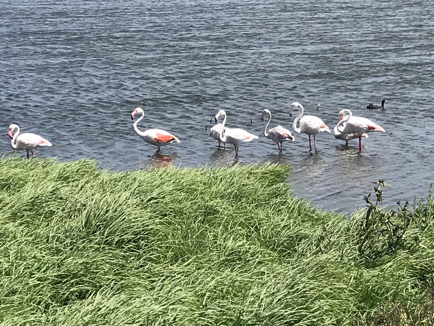  Zeekoevlei Nature Reserve