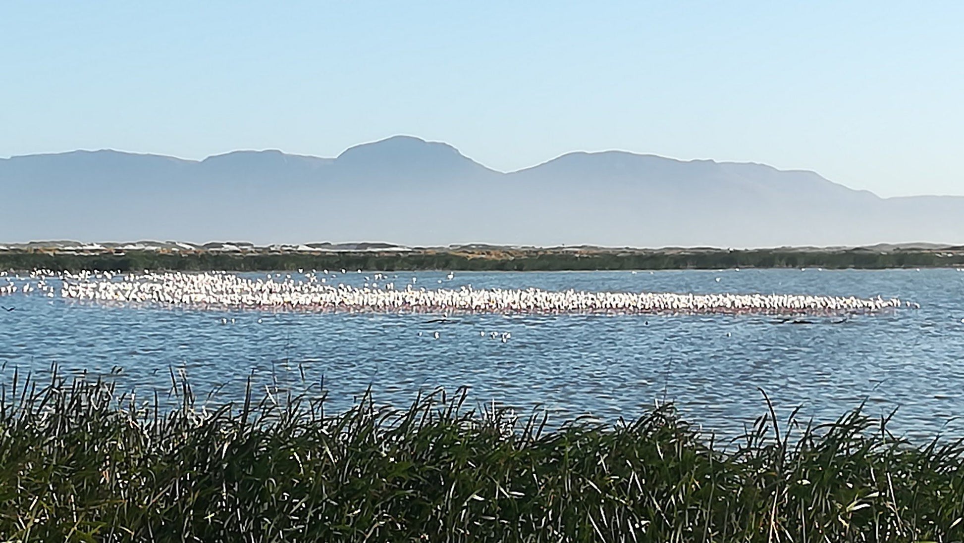  Zeekoevlei Nature Reserve