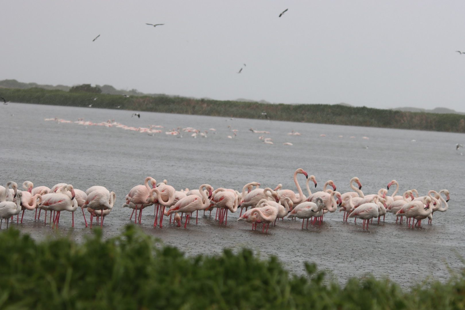  Zeekoevlei Nature Reserve