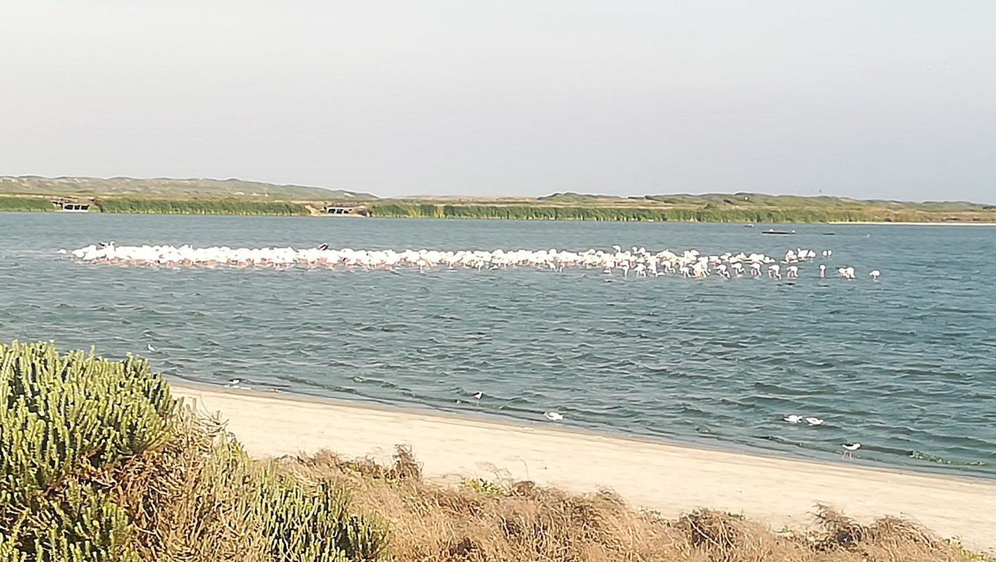  Zeekoevlei Nature Reserve