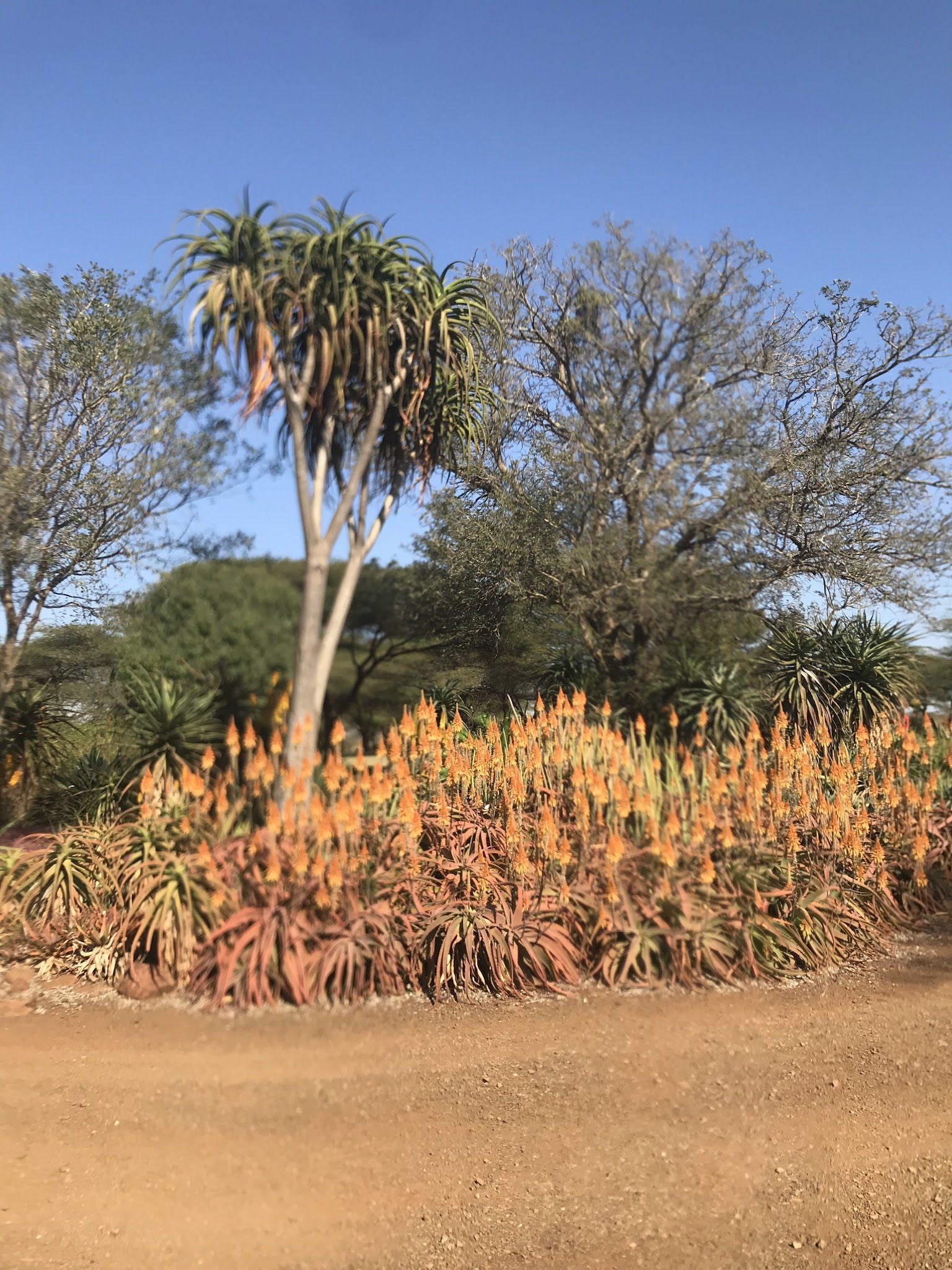  Zimanga Private Game Reserve