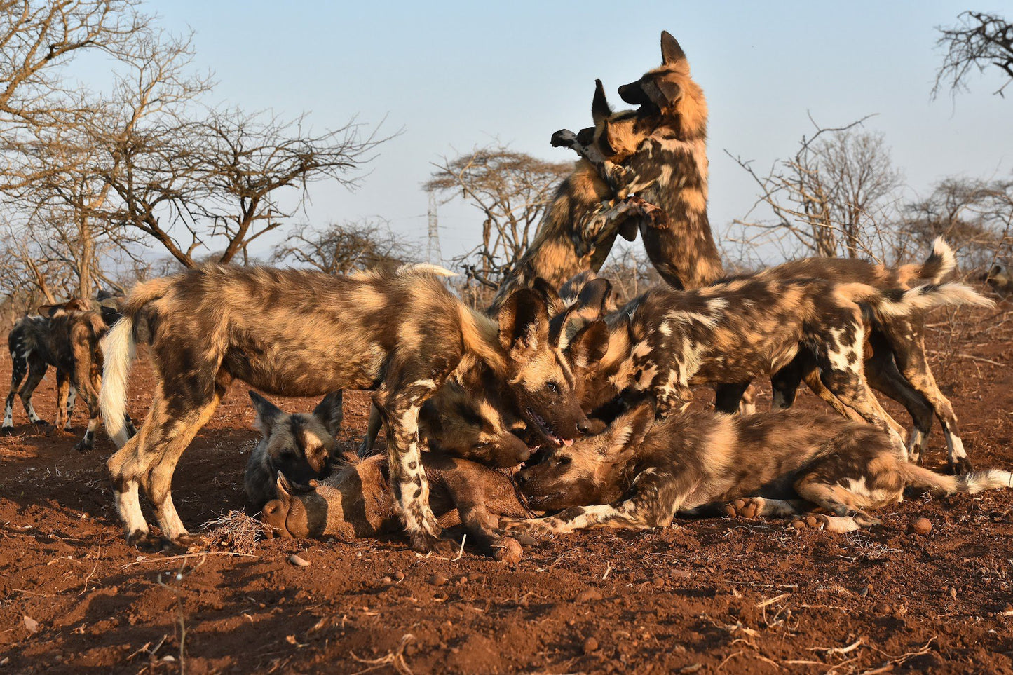  Zimanga Private Game Reserve