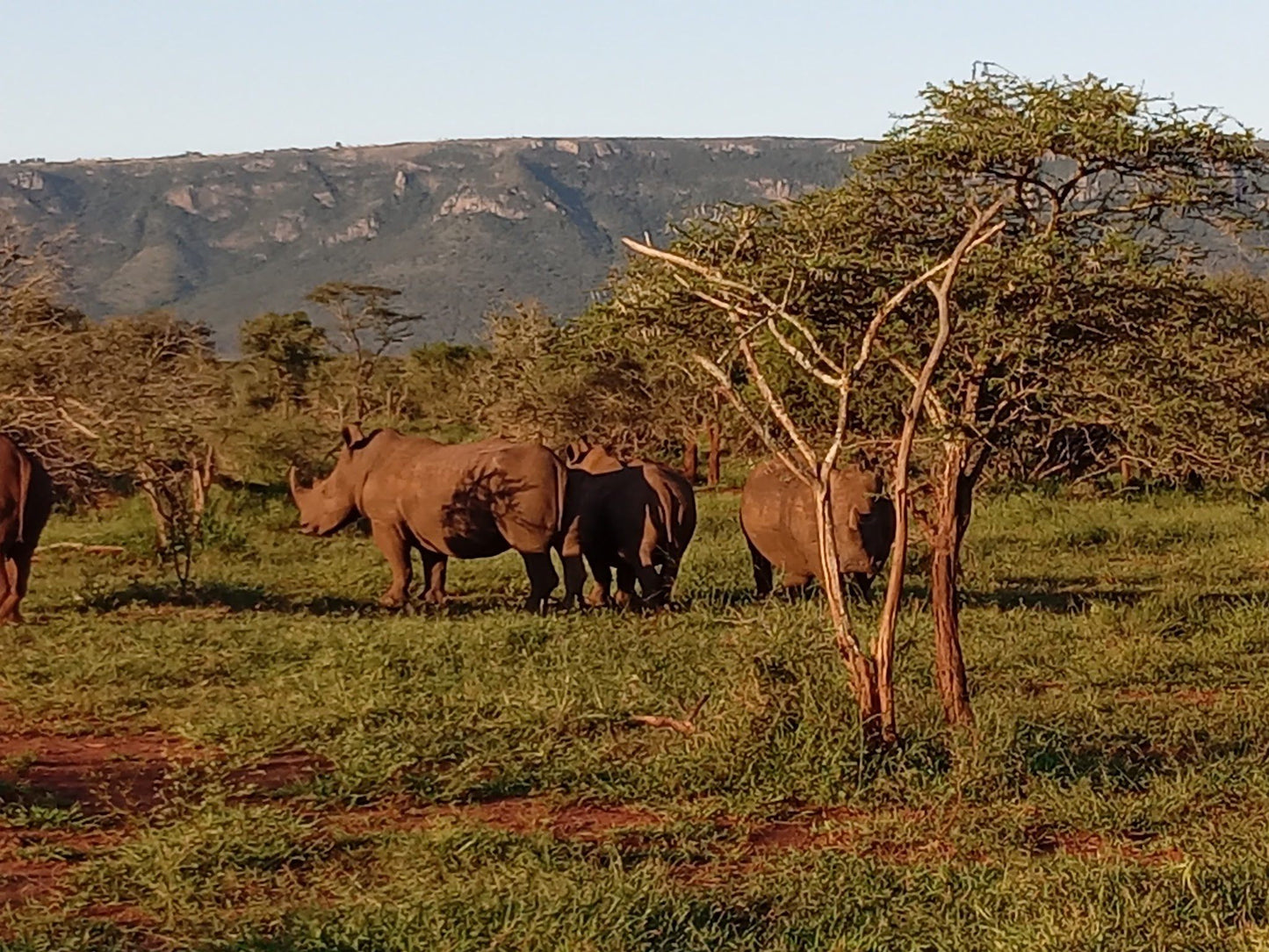  Zimanga Private Game Reserve