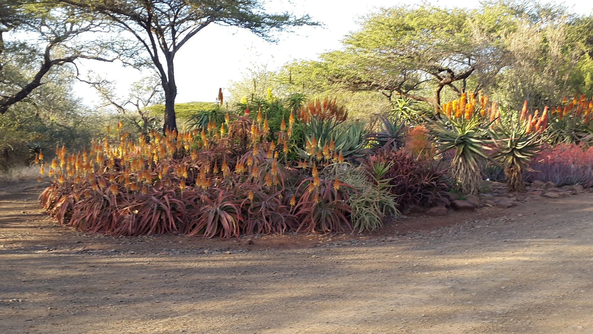  Zimanga Private Game Reserve