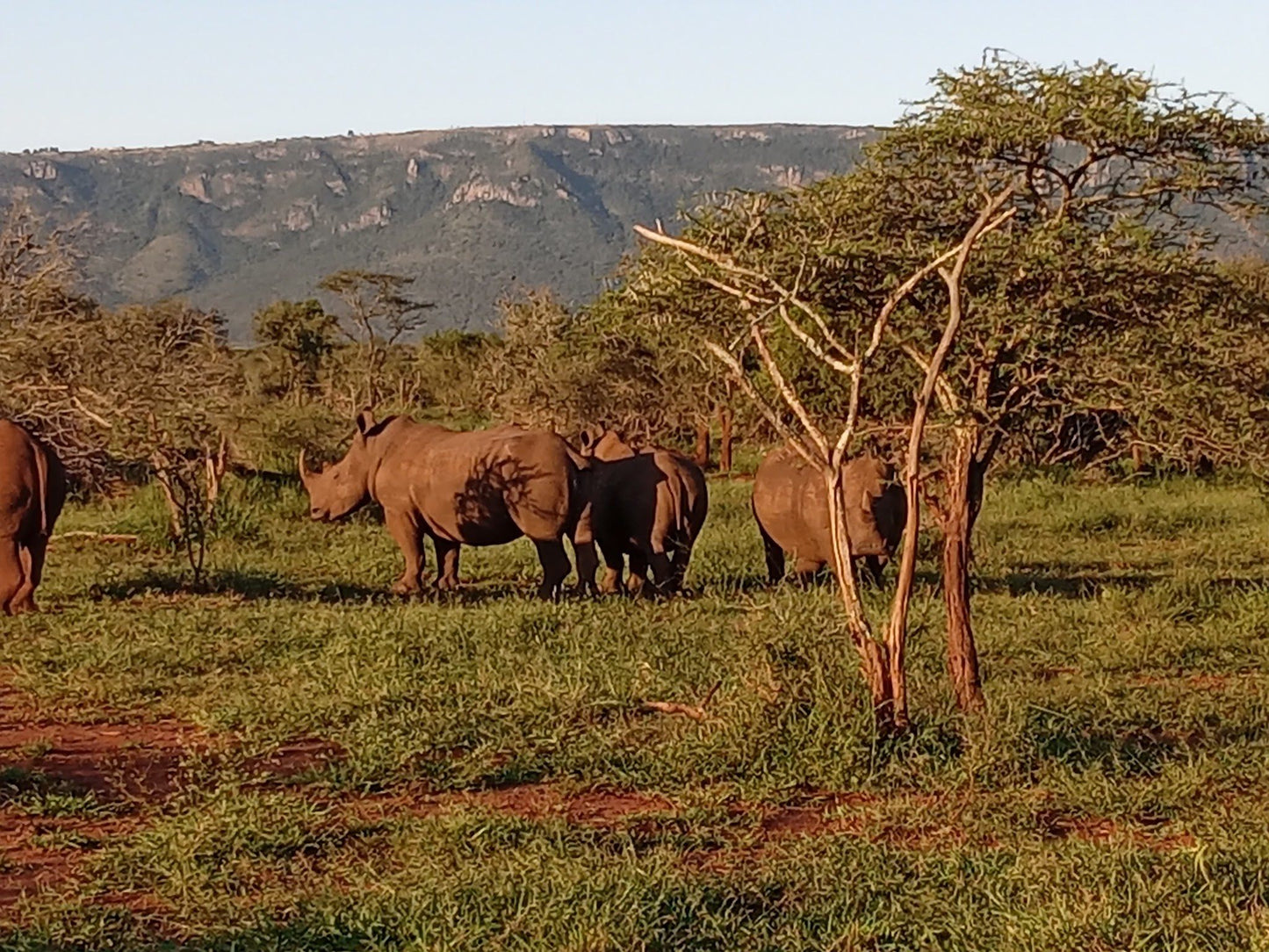  Zimanga Private Game Reserve