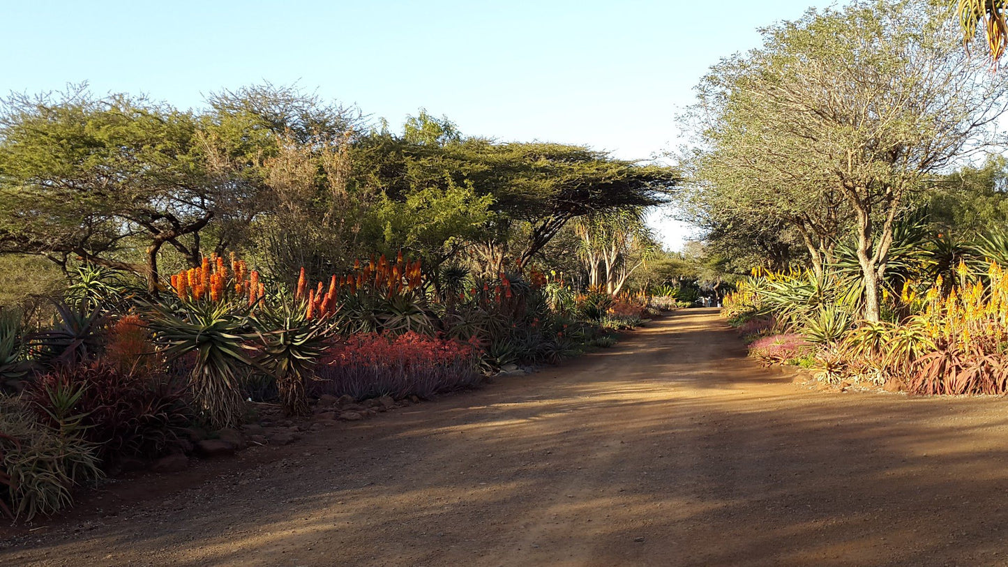  Zimanga Private Game Reserve