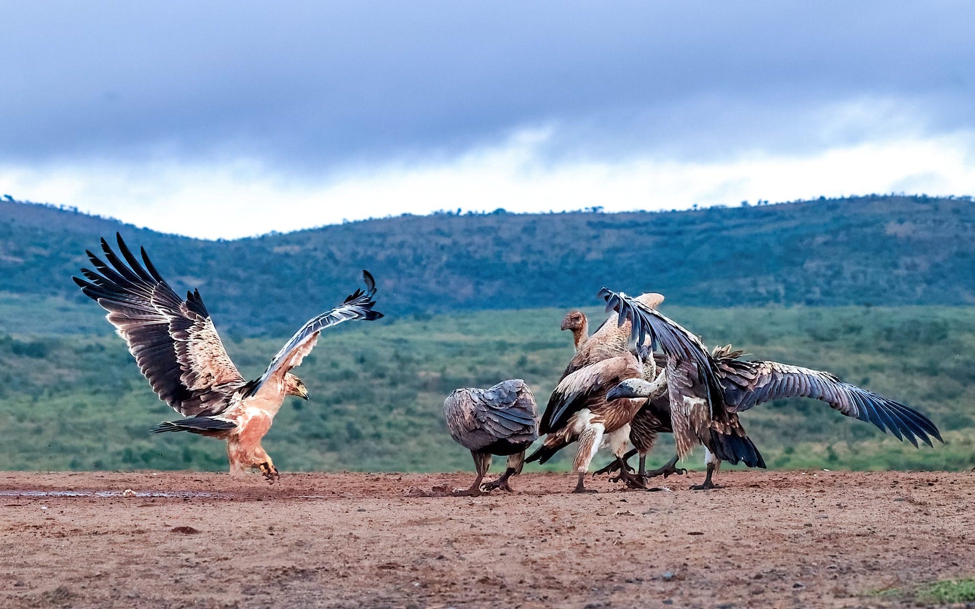  Zimanga Private Game Reserve