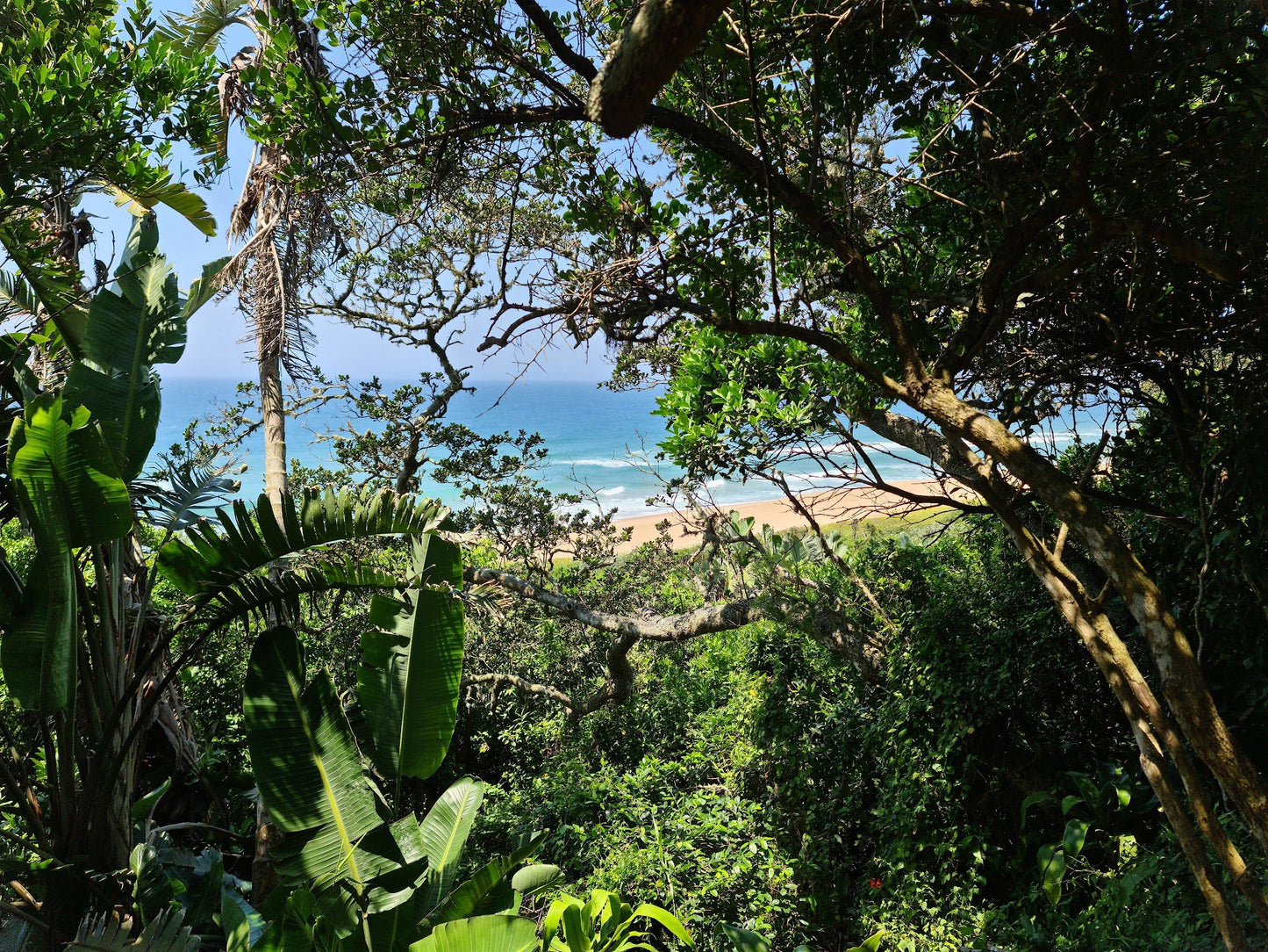 Zinkwazi Forest Trails