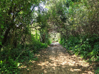 Zinkwazi Forest Trails