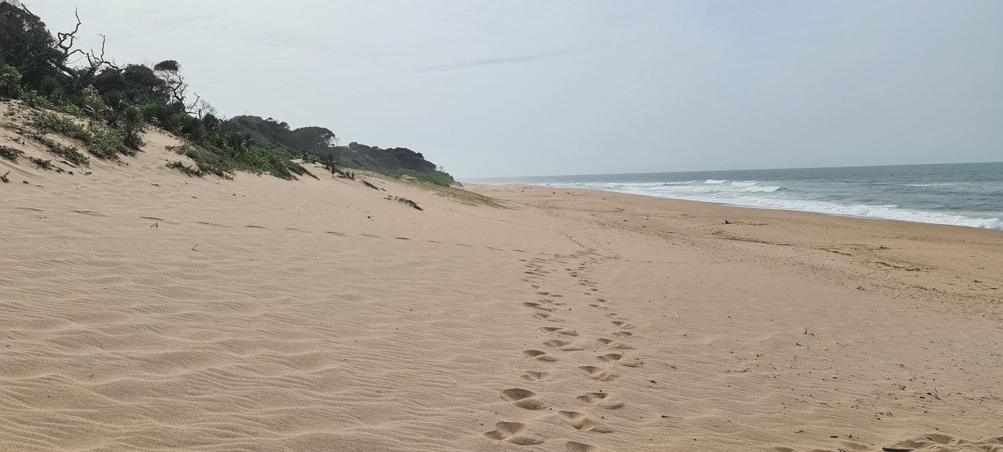 Zinkwazi Forest Trails