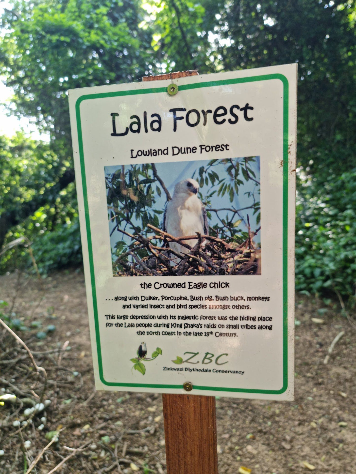 Zinkwazi Forest Trails