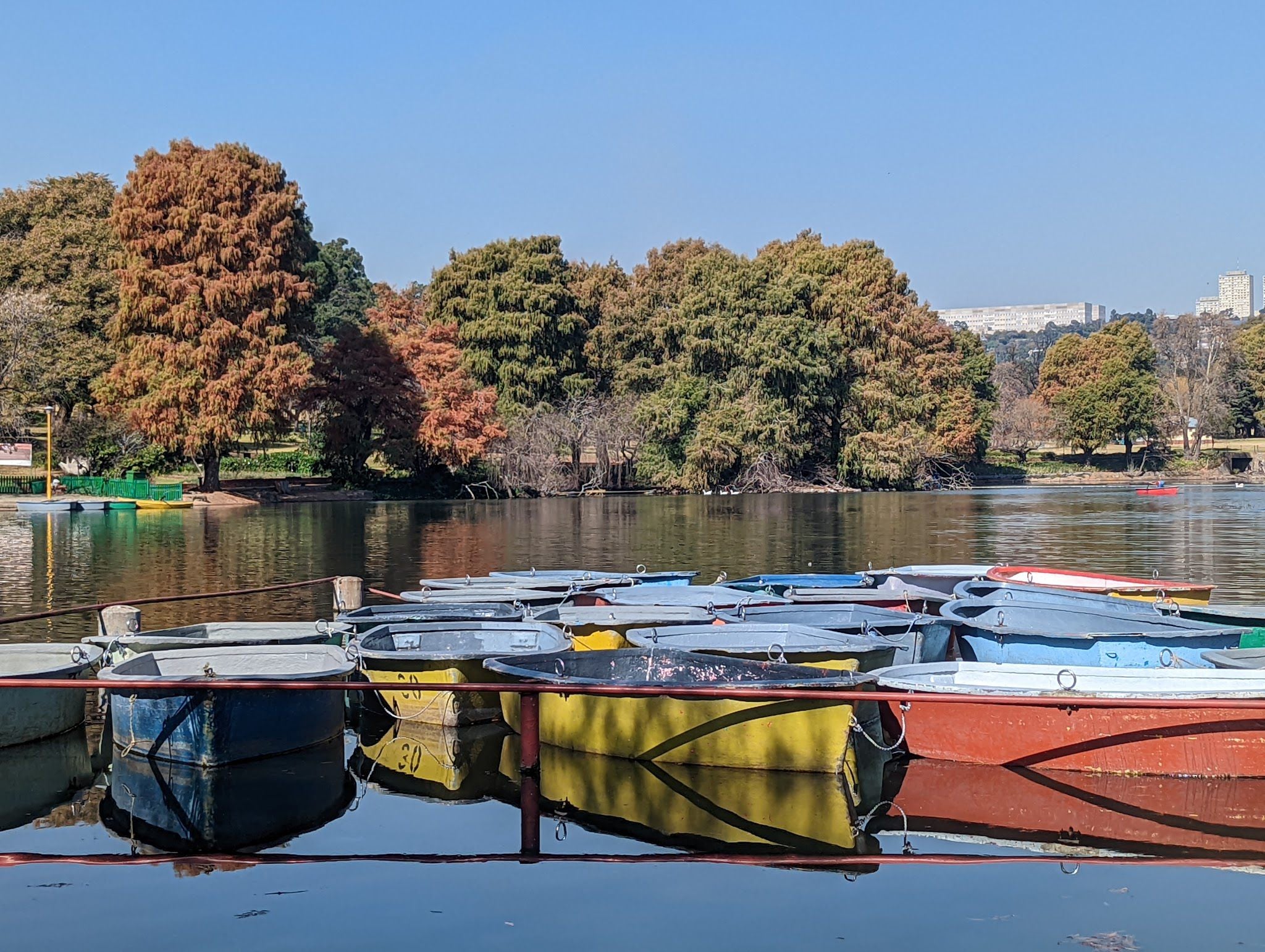  Zoo Lake