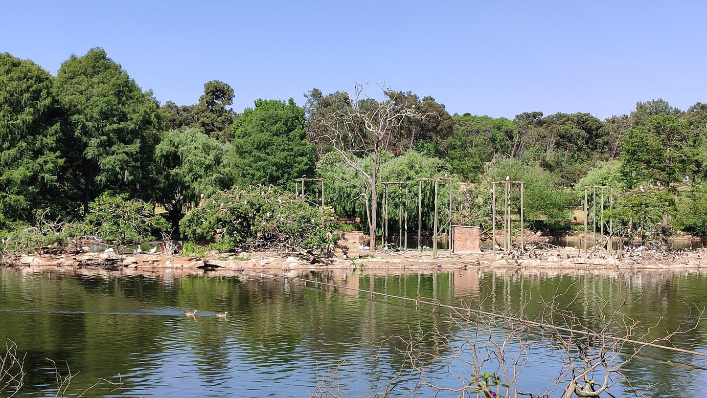  Zoo Lake