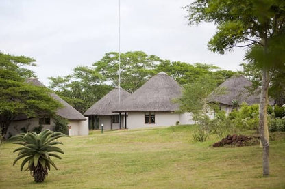  Zululand Ubizane Wildlife Reserve