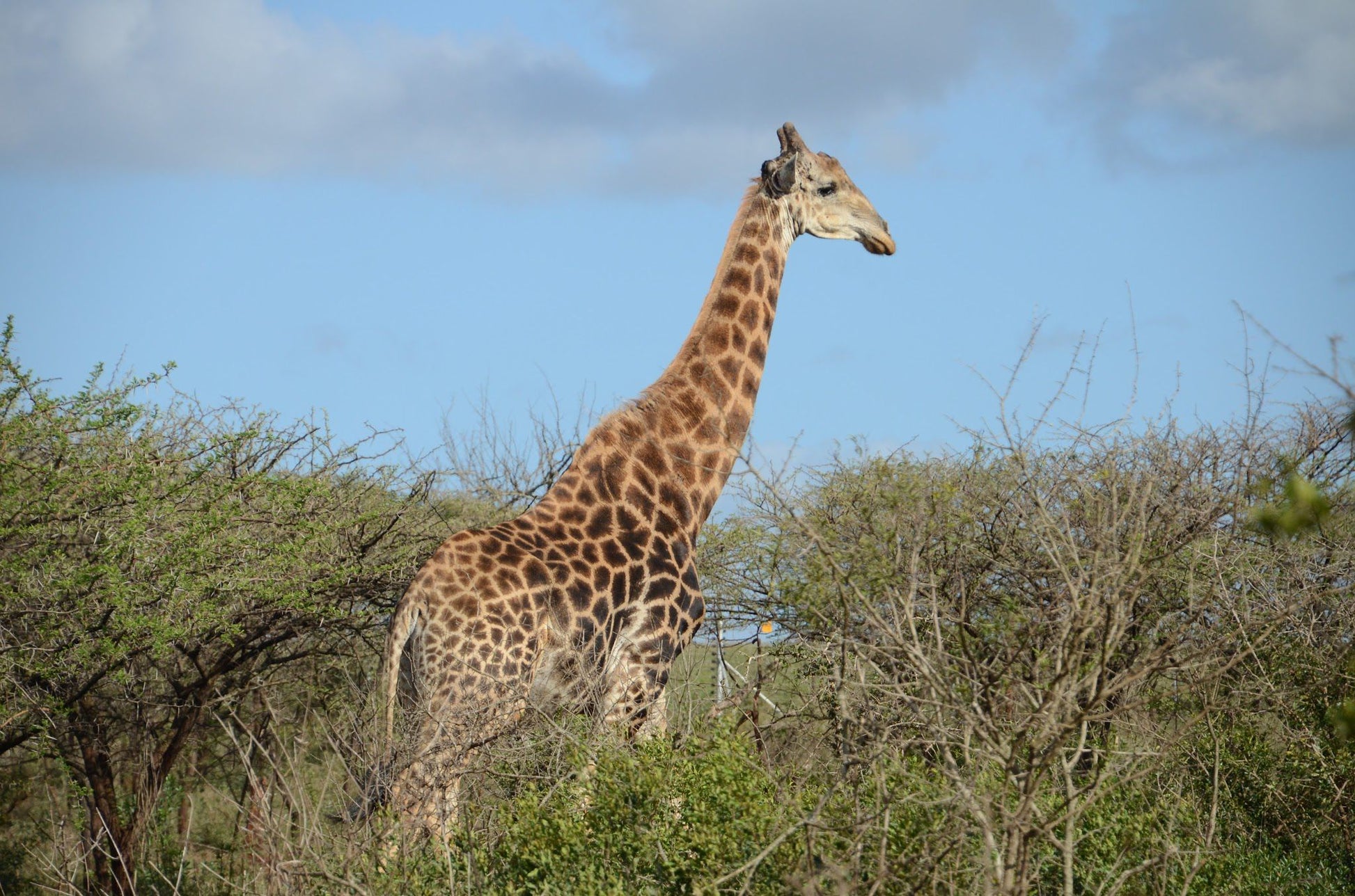  Zululand Ubizane Wildlife Reserve